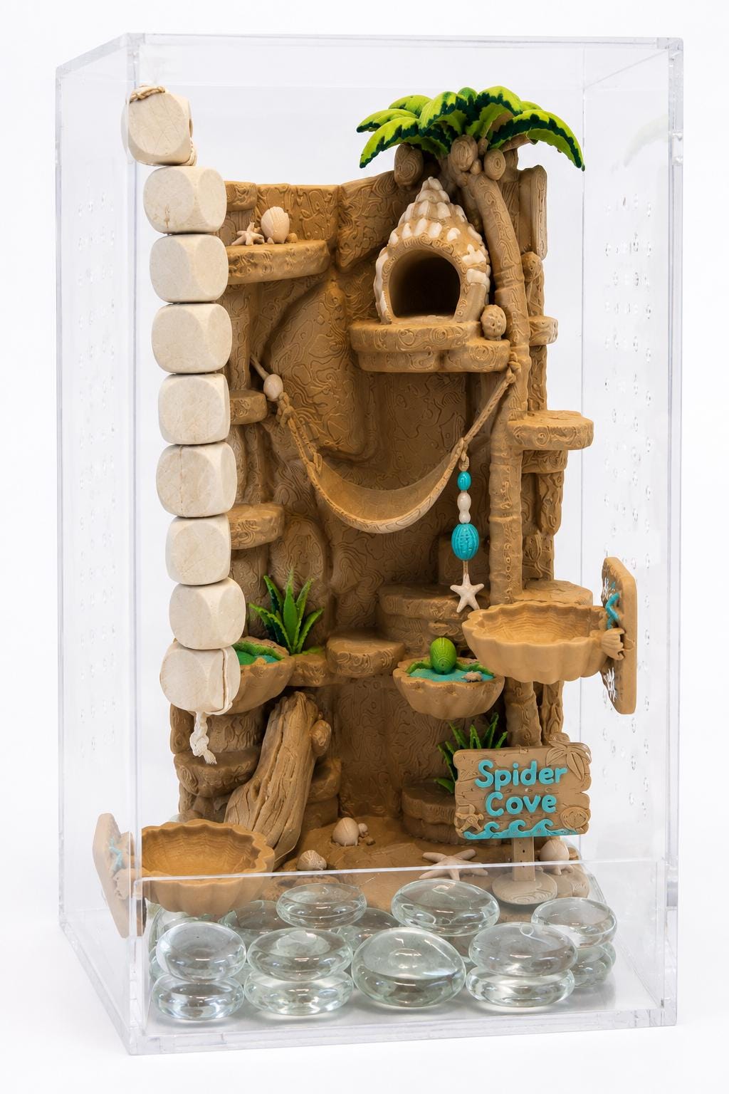 Spider Cove jumping spider enclosure