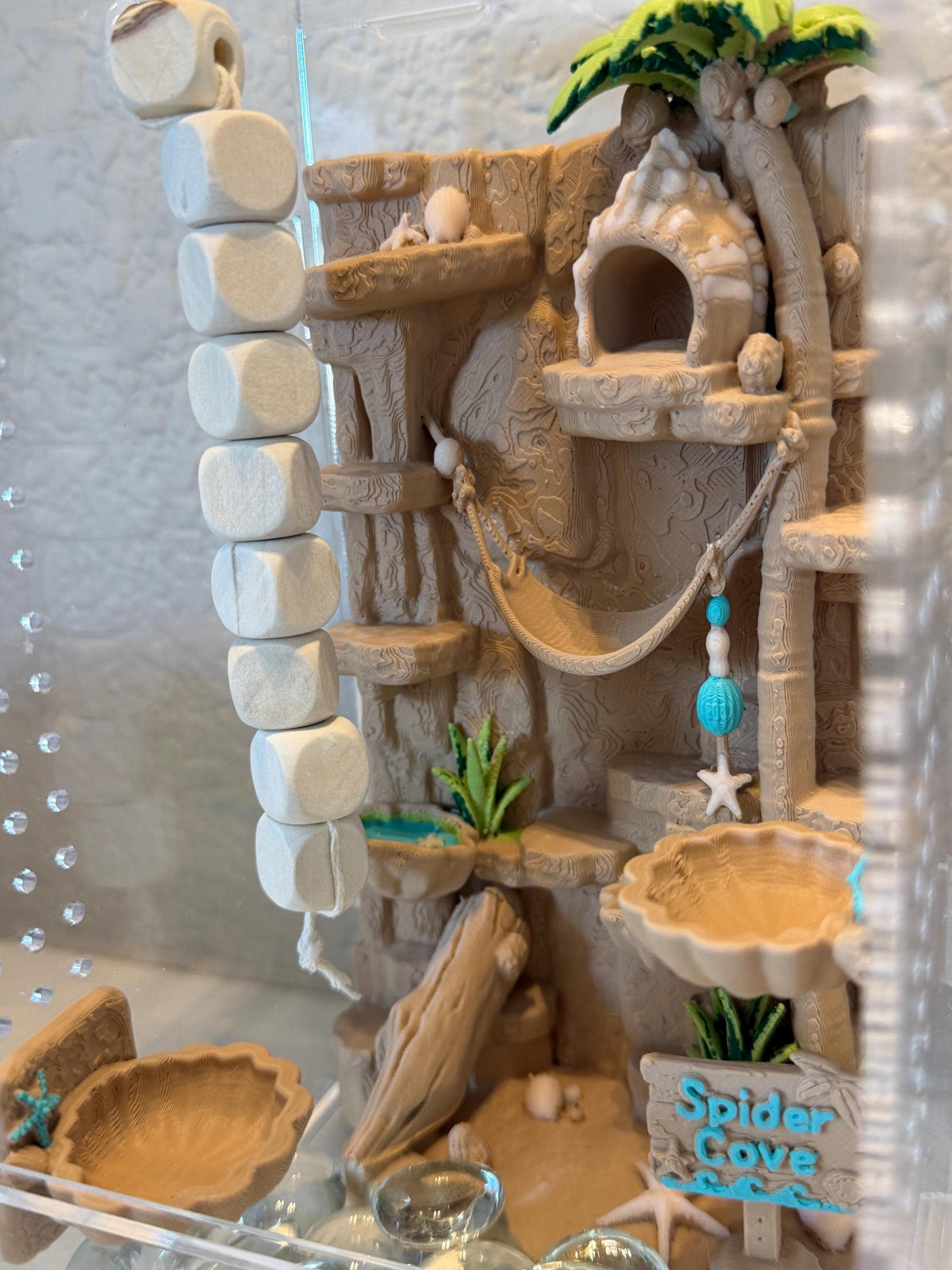 Spider Cove jumping spider enclosure detail