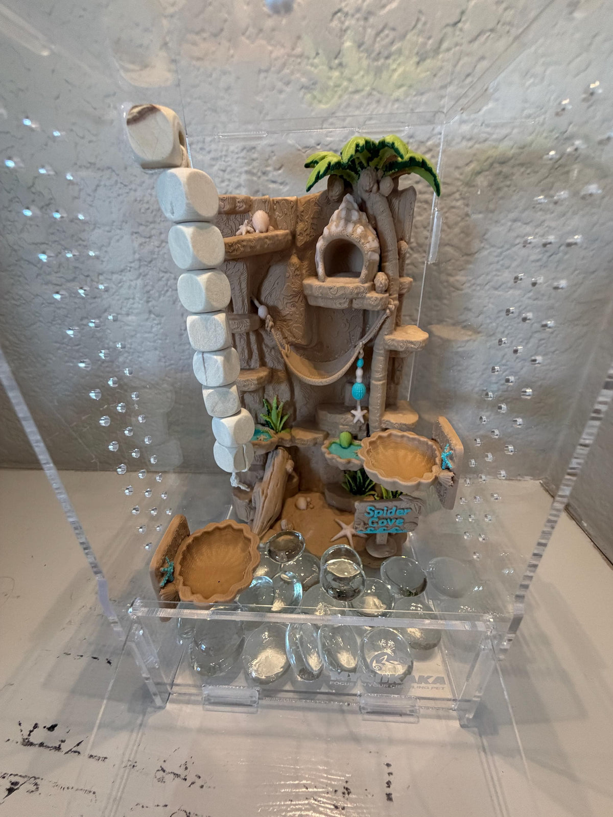 Spider Cove jumping spider enclosure detail
