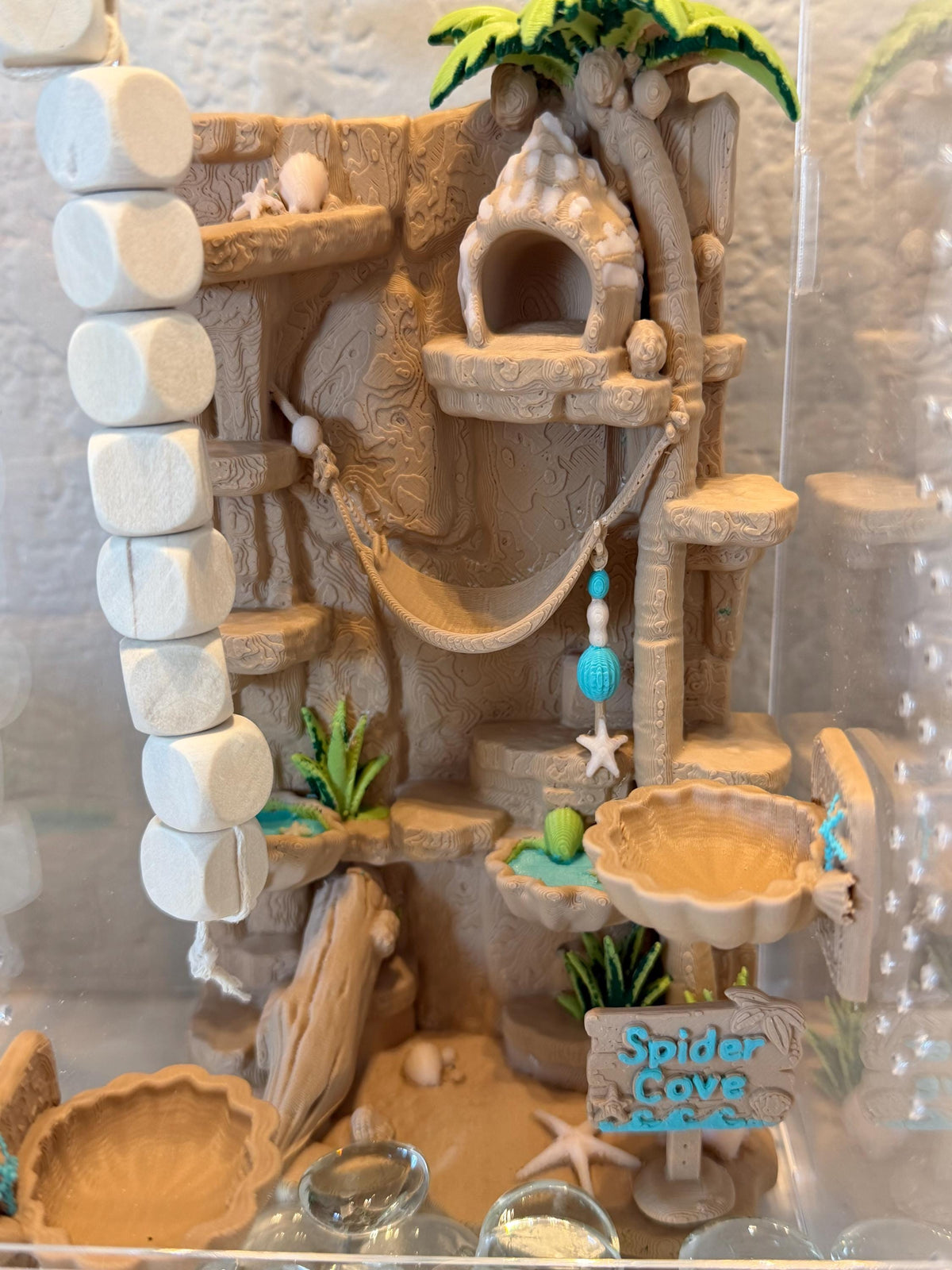 Spider Cove jumping spider enclosure detail