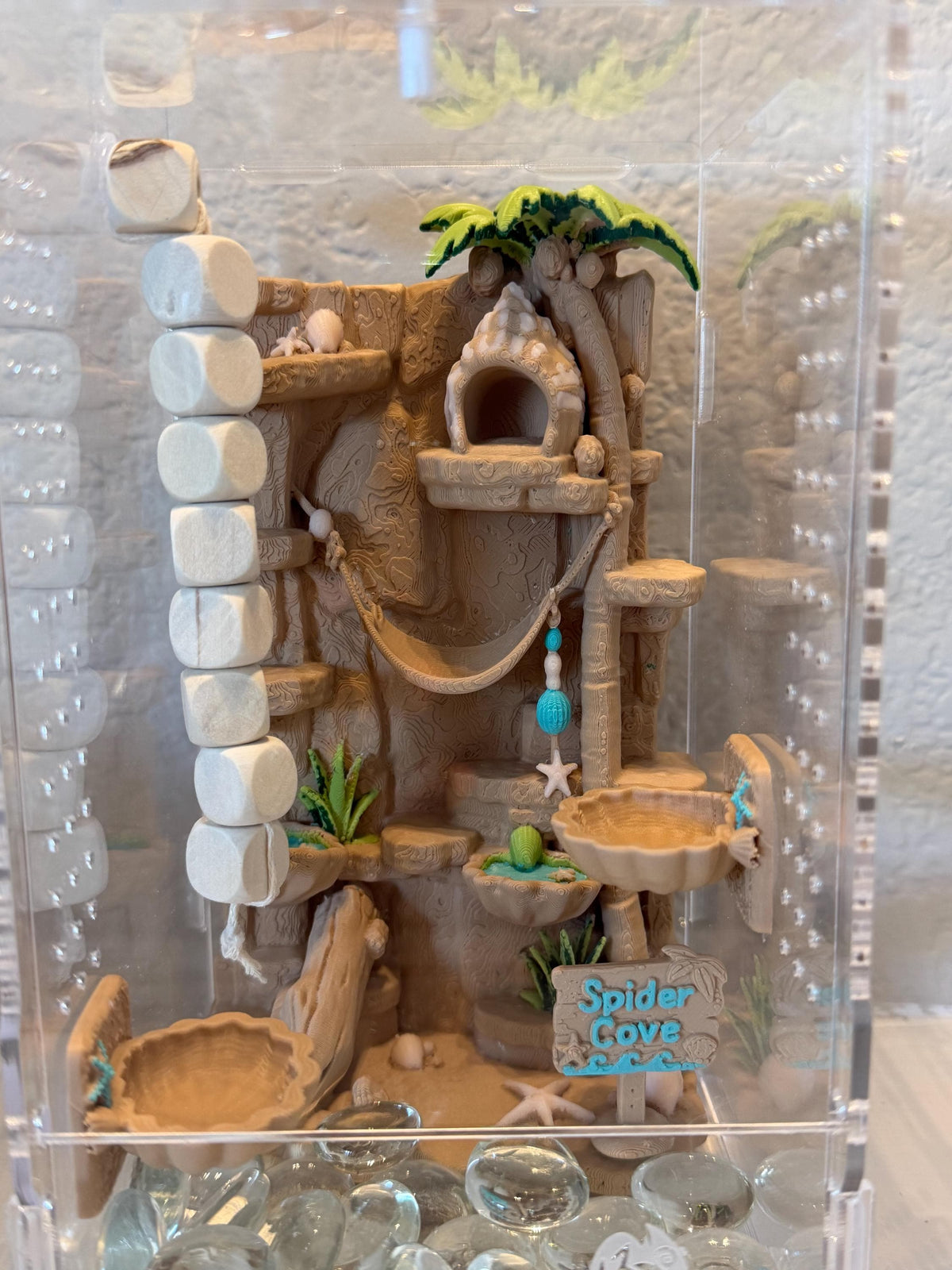 Spider Cove jumping spider enclosure detail