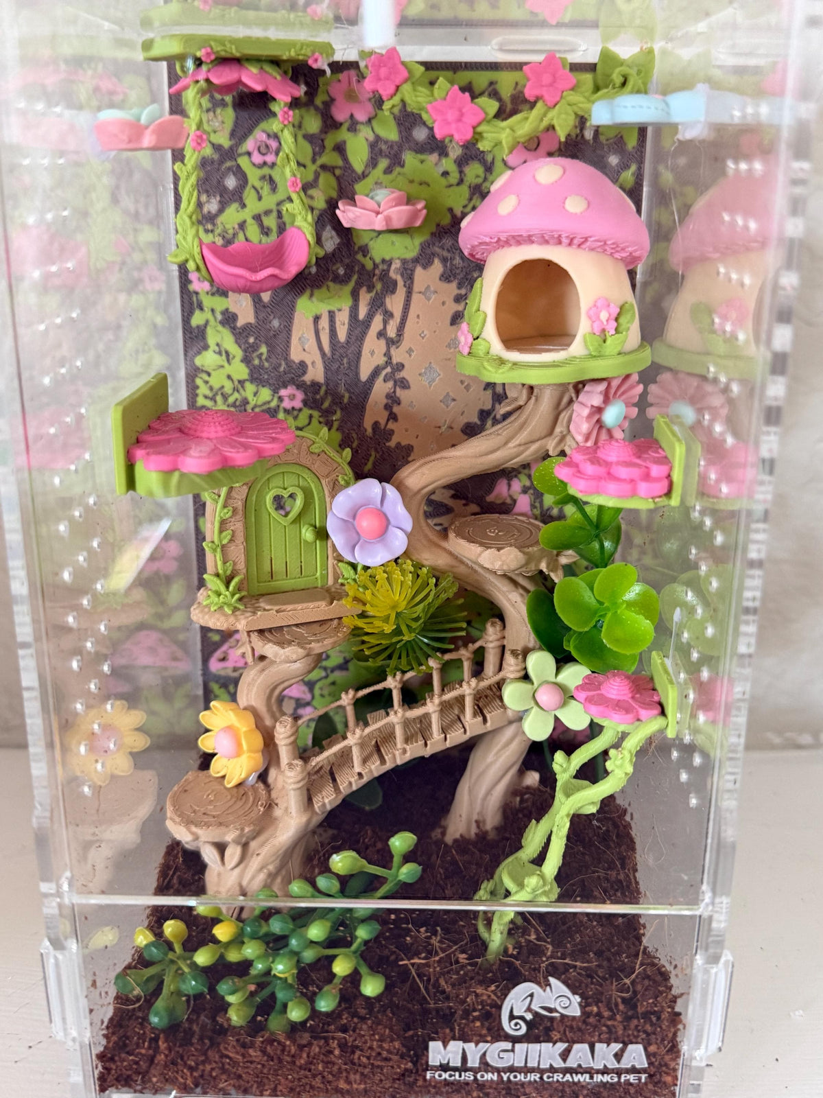 Enchanted Fairy Garden jumping spider enclosure detail