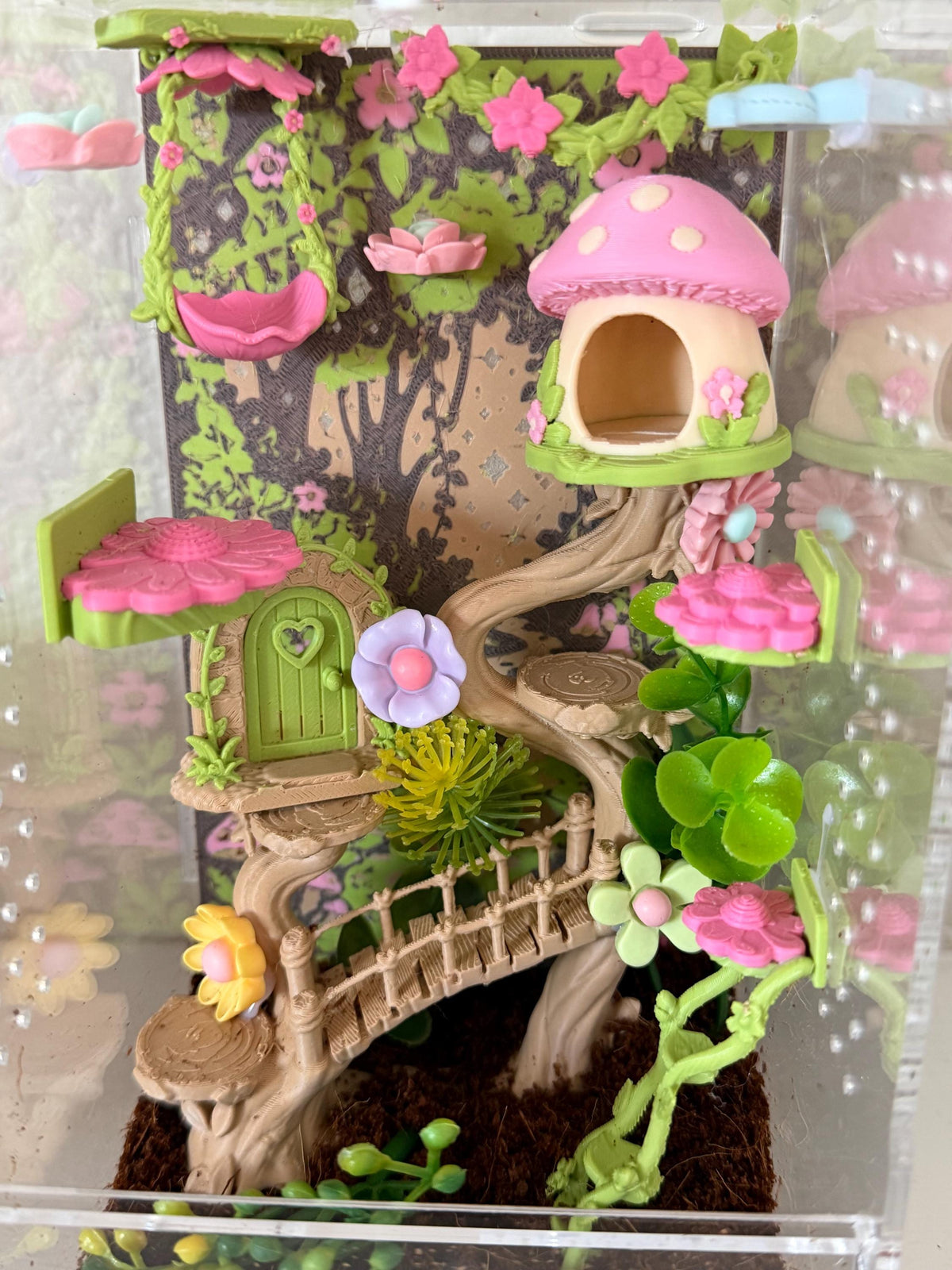 Enchanted Fairy Garden jumping spider enclosure detail