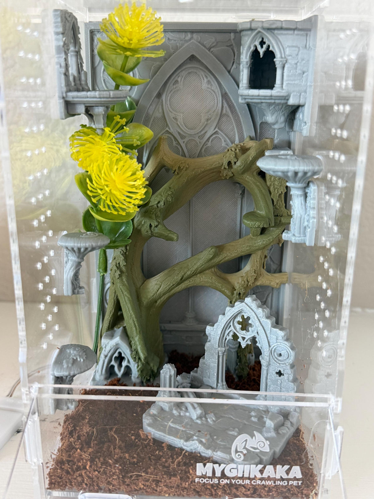 Odom's Ruins jumping spider enclosure detail