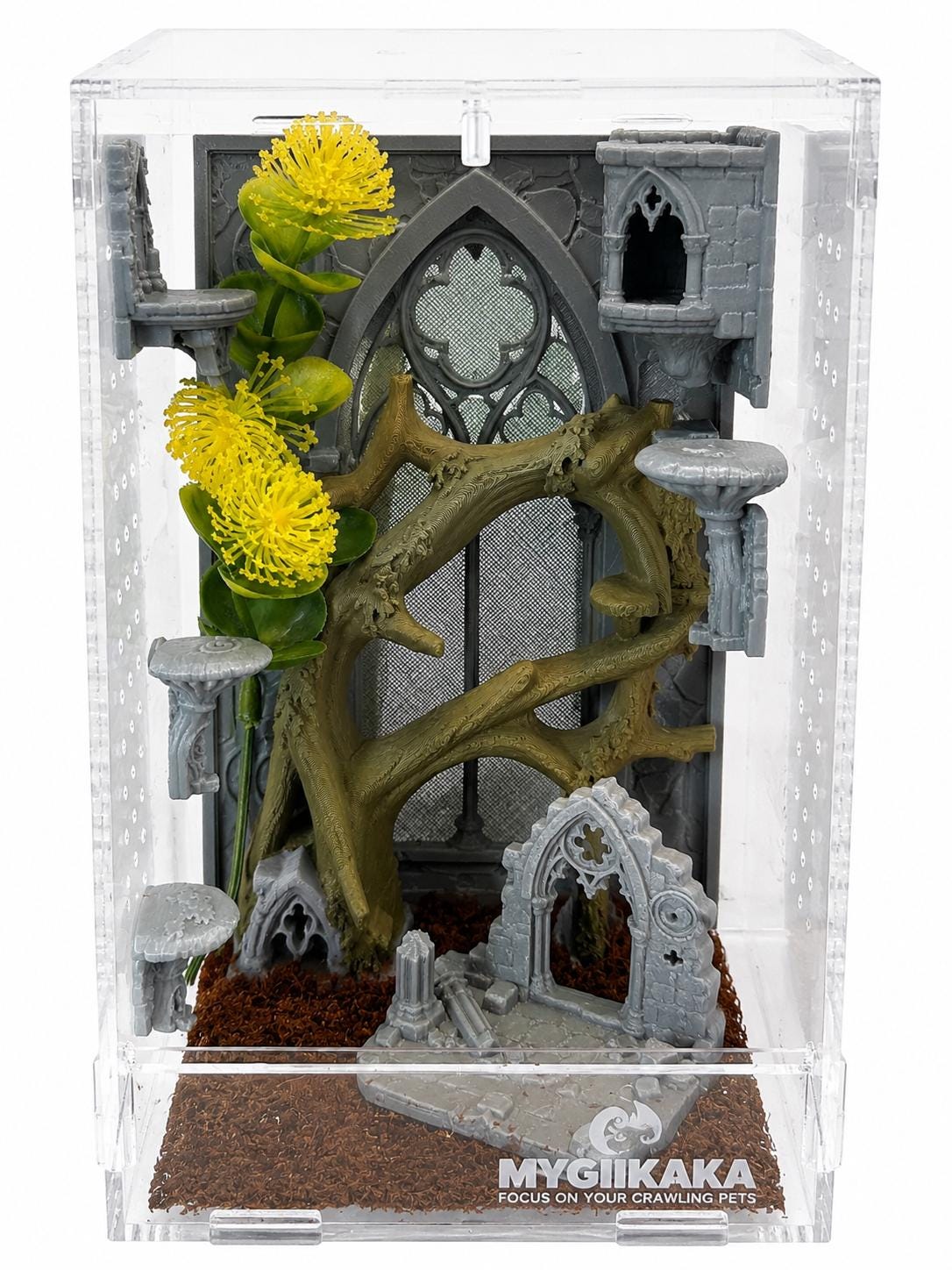 Odom's Ruins jumping spider enclosure
