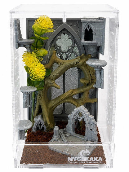 Odom's Ruins jumping spider enclosure