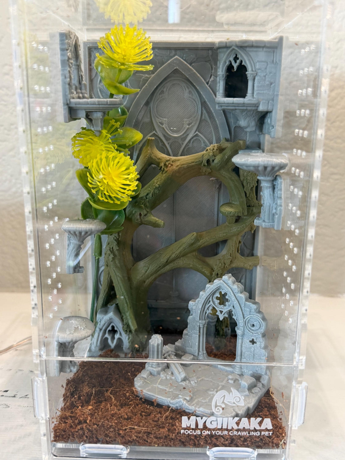 Odom's Ruins jumping spider enclosure detail