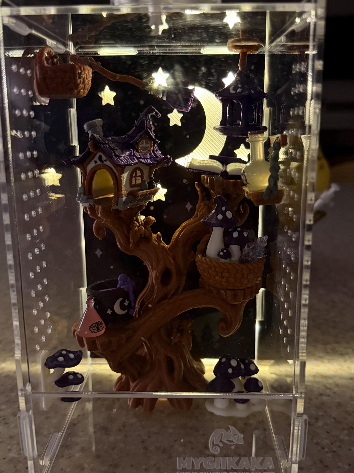 Witch’s Apothecary jumping spider enclosure detail